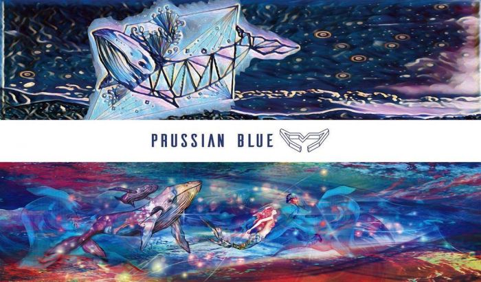 PRUSSIAN BLUE FREE DIVING FINS Fiberglass