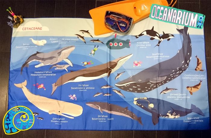 OCEANARIUM海洋生物 吸水沙灘巾80*140cm 鯨魚 T04