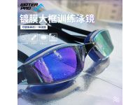 WATER PRO G13 Pulse Mirror Goggles