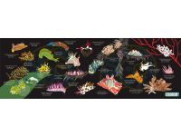 Oceanarium T13 BLACK NUDIBRANCH DRY TOWEL 80CM X 140CM