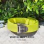 Water Pro Diving Weight Belt with SS Buckle